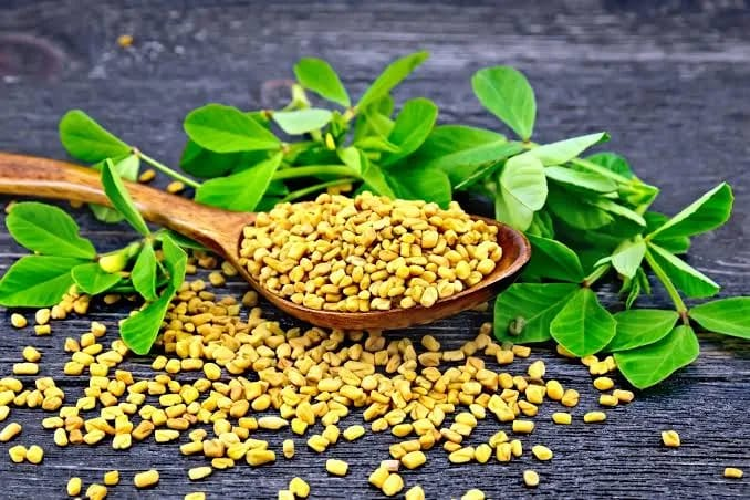Fenugreek Seeds